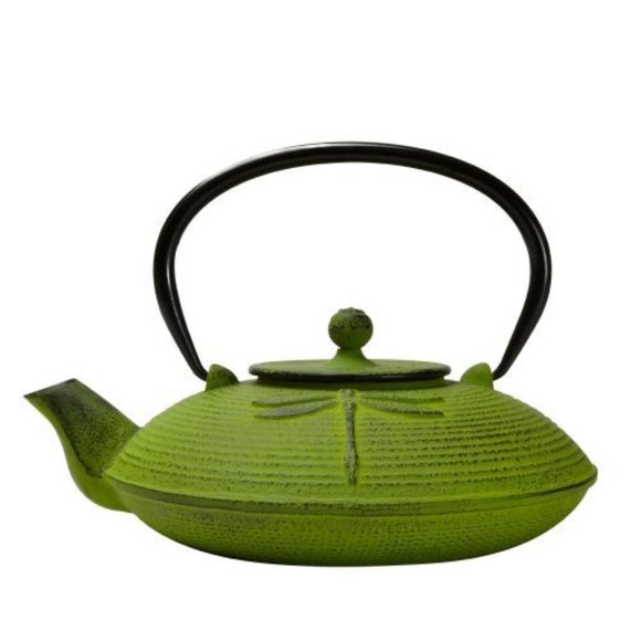 Primula Other - 🎉❤️HOST PICK❤️🎉 Primula Green Dragonfly Japanese Tetsubin Cast Iron Teapot